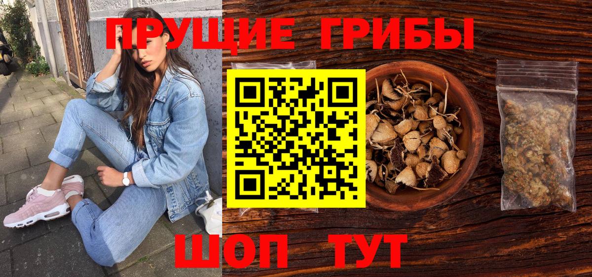 сколько стоит  Галлюциногенные грибы Cubensis  Вход с VPN  Оренбург 